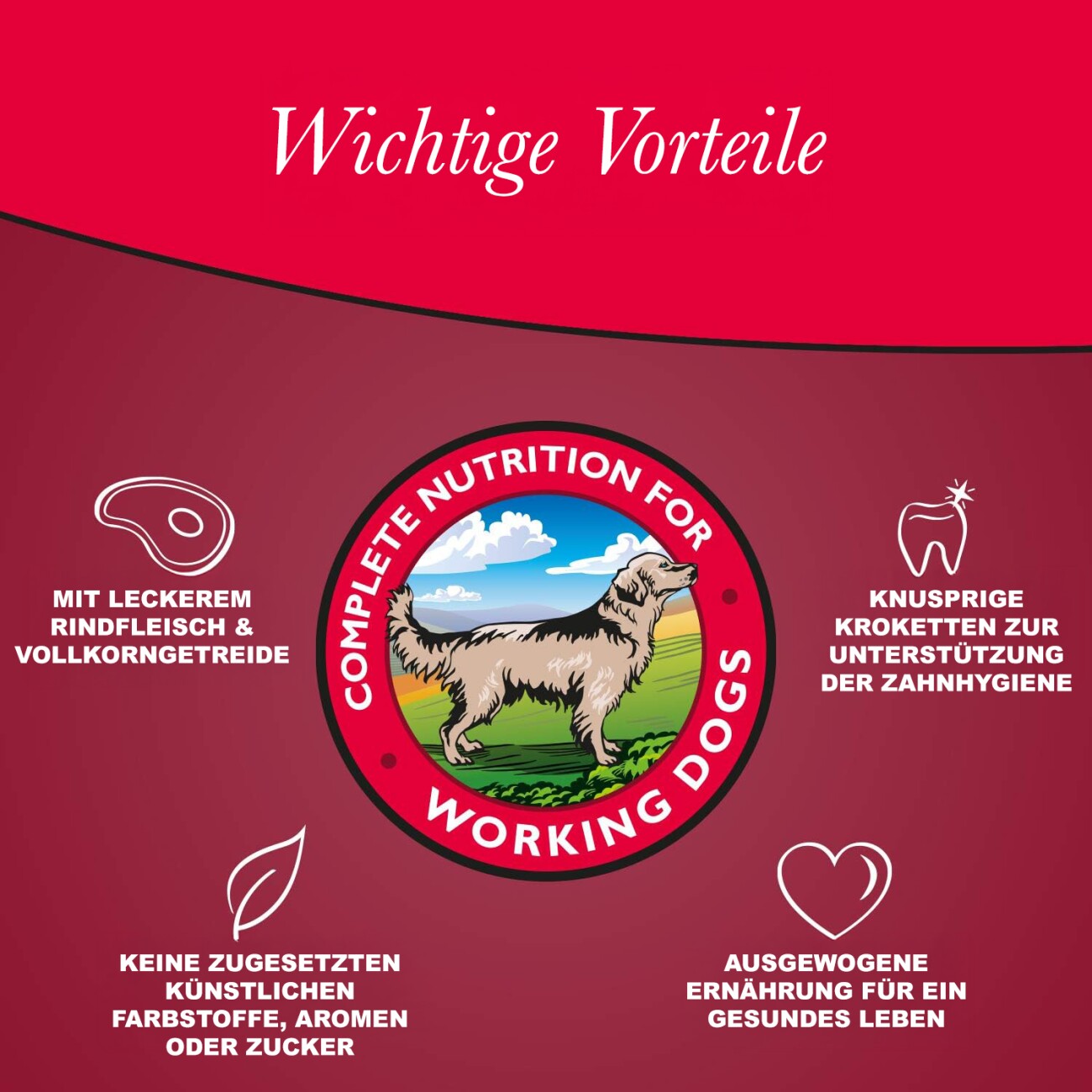 Arkwright s mit Rind 15 kg