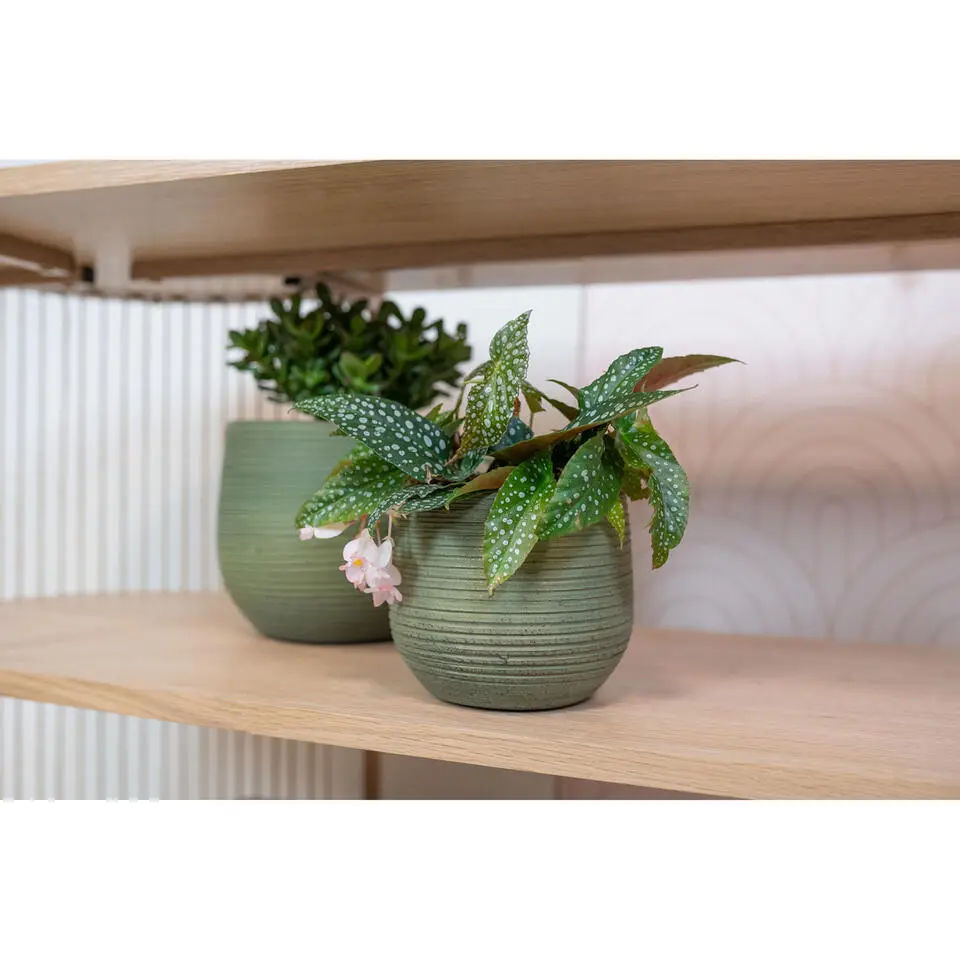 Ter Steege Plantenpot - keramiek - donkergroen - stripes -26x25cm