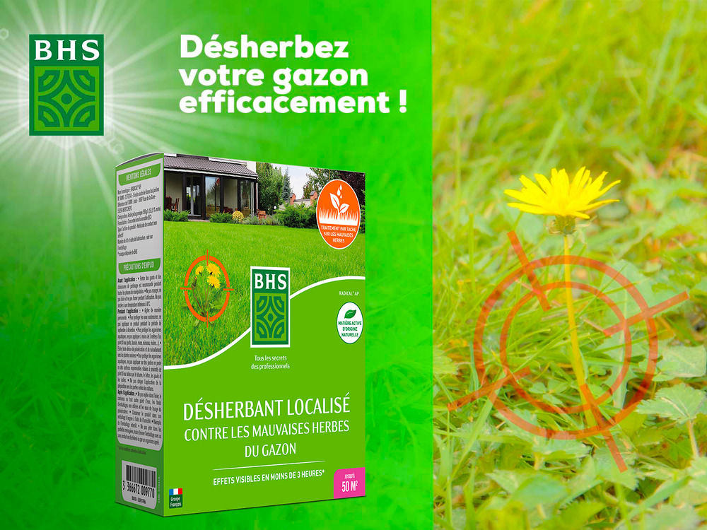 Dg100 | désherbant total gazon localisé contre les mauvaises herbes |