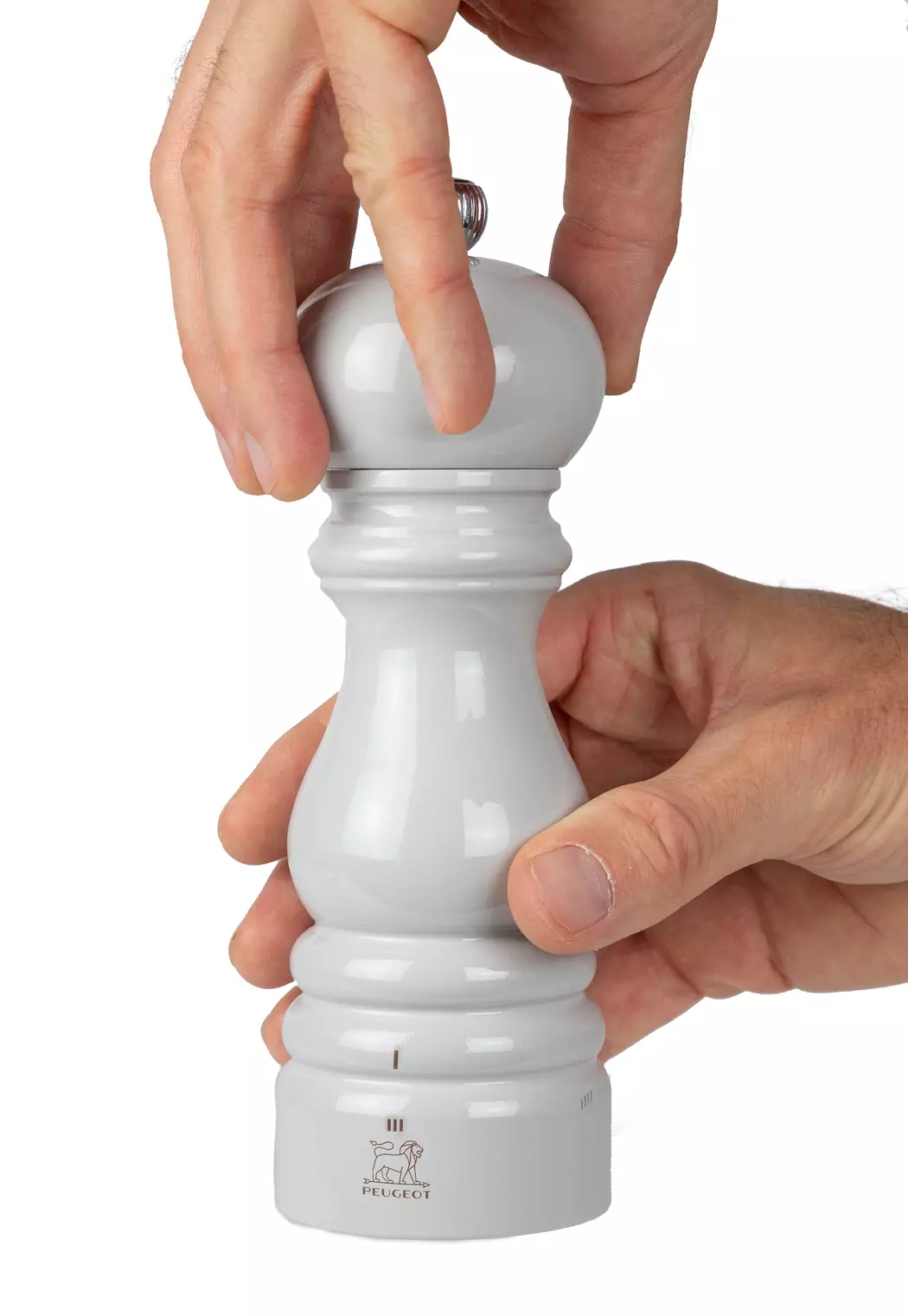 Salzmühle Paris 18 cm