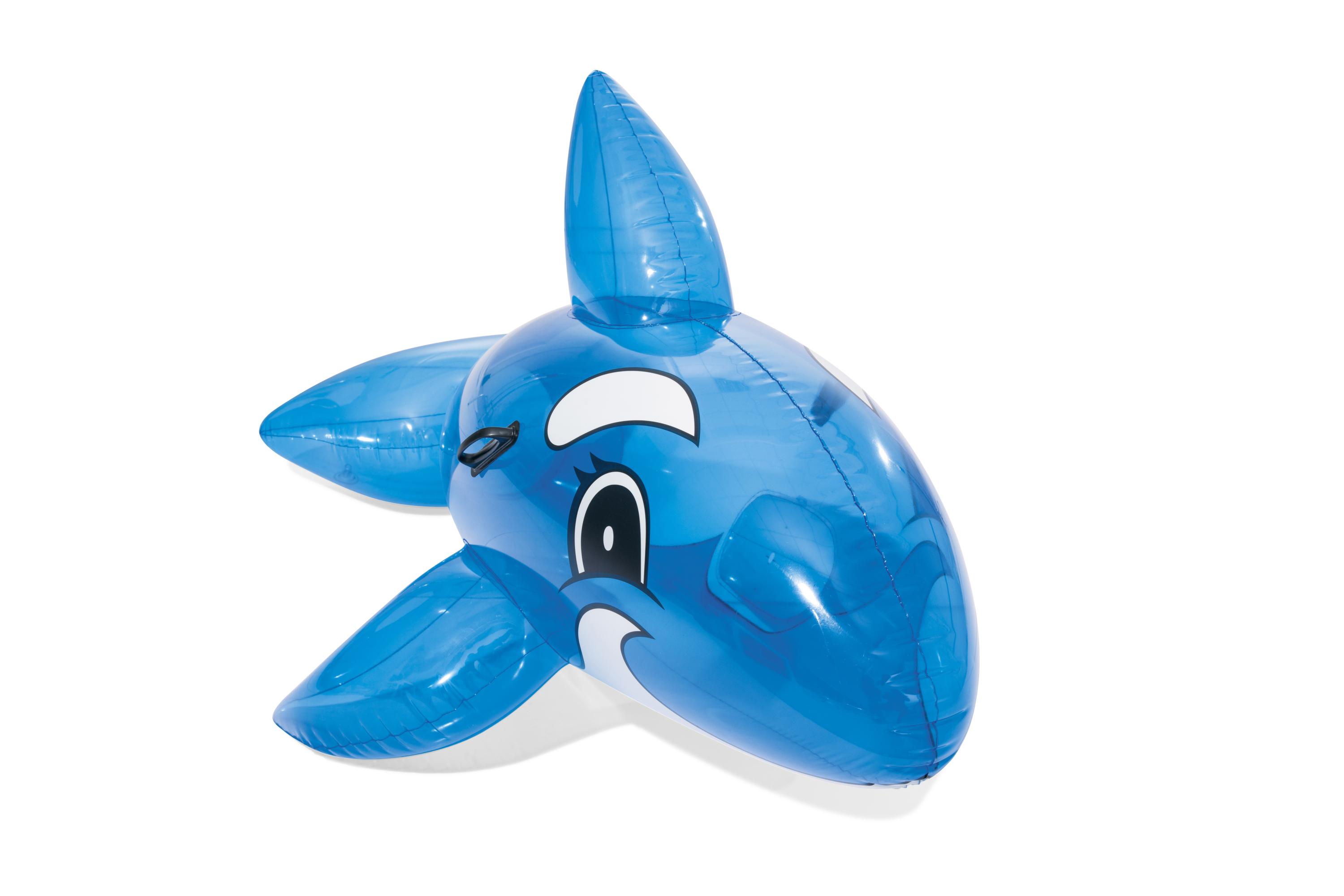 Schwimmtier Wal