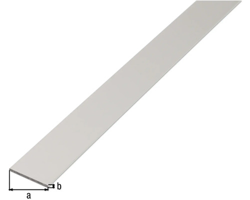 Platte staaf, aluminium, zilver geanodiseerd, 15x2 mm, 2,6 m