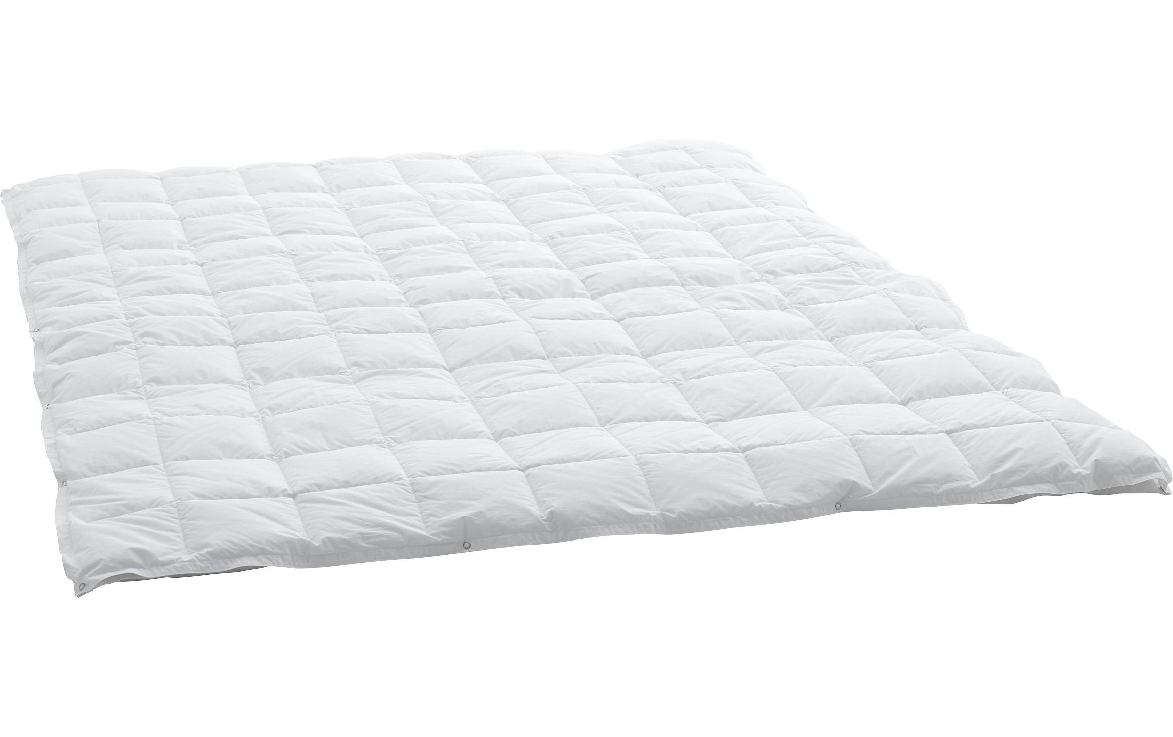 Duvet Caro Basic 90 200 x 210 cm<br>4-Saisons-Daunenduvet