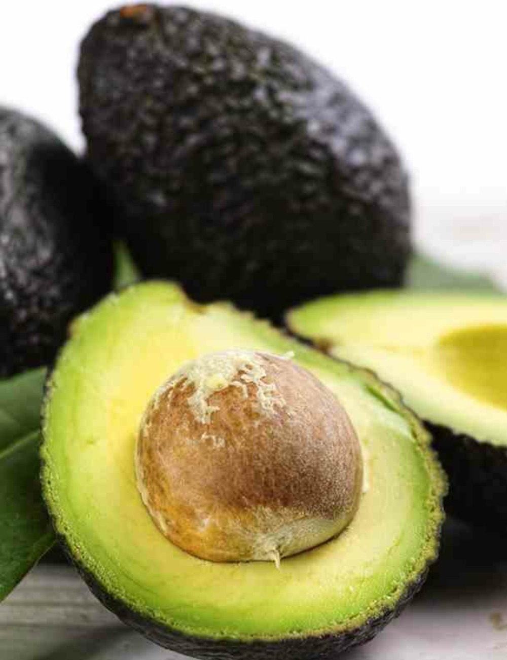 Avocatier persea americana var. Hass (de greffe) blanc - taille pot de 7 litres ? 60/80 cm