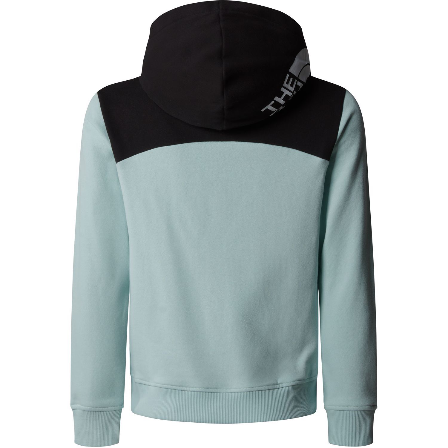 The North FaceGirl’s Back Logo Relaxed P/O Hoodie