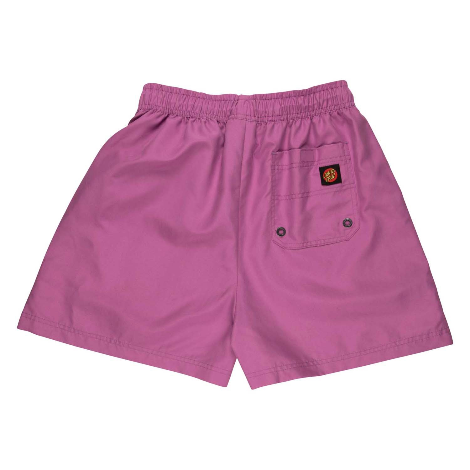 Santa Cruz Badeshorts »VENICE SWIMSHORTS«