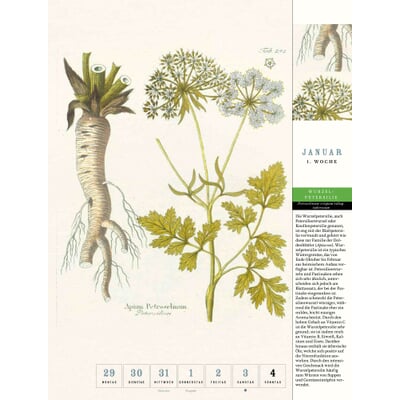 Thorbecke Gemüse-Kalender 2026