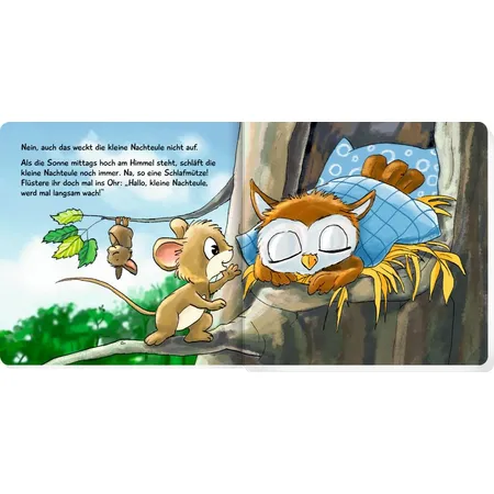 Coppenrath Verlag Was machst du, kleine Nachteule?