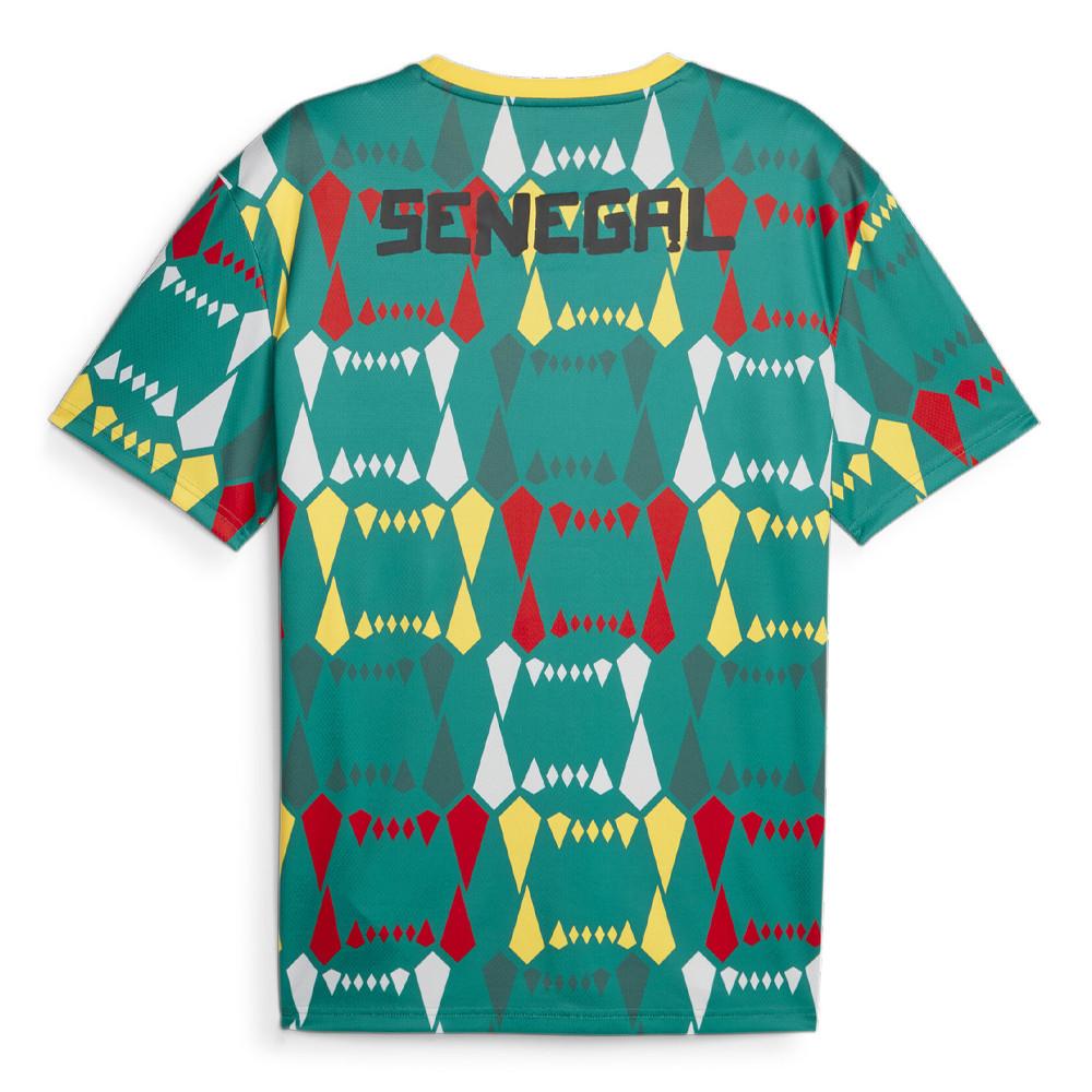 Puma Sénégal Maillot d'entrainement Vert Homme Puma 2023