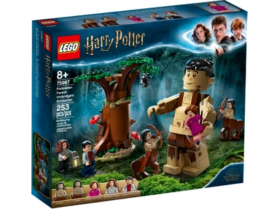 LEGO Het Verboden Bos: Omber's ontmoeting met Groemp (75967)