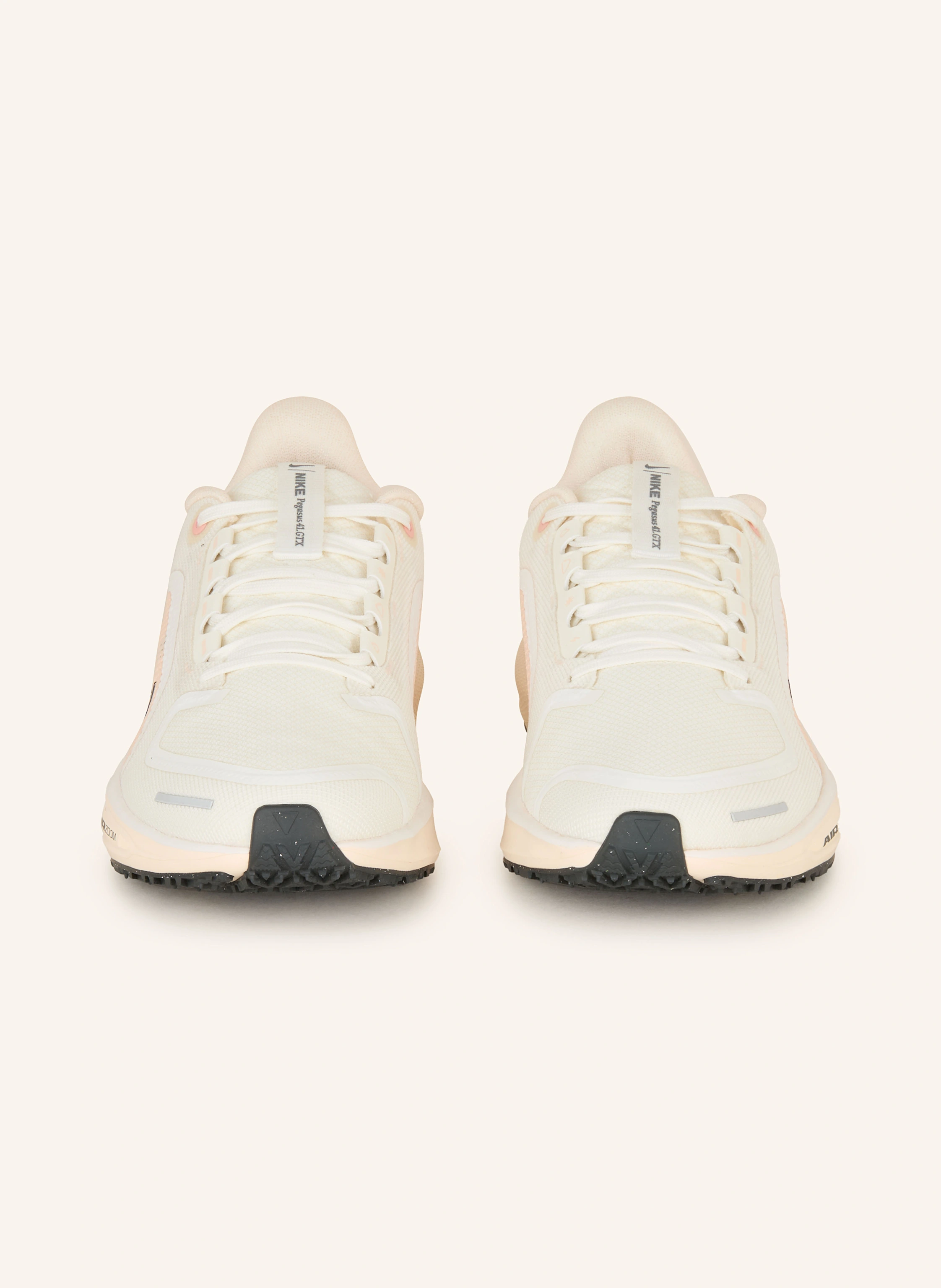 Nike Laufschuhe AIR ZOOM PEGASUS 41 GTX