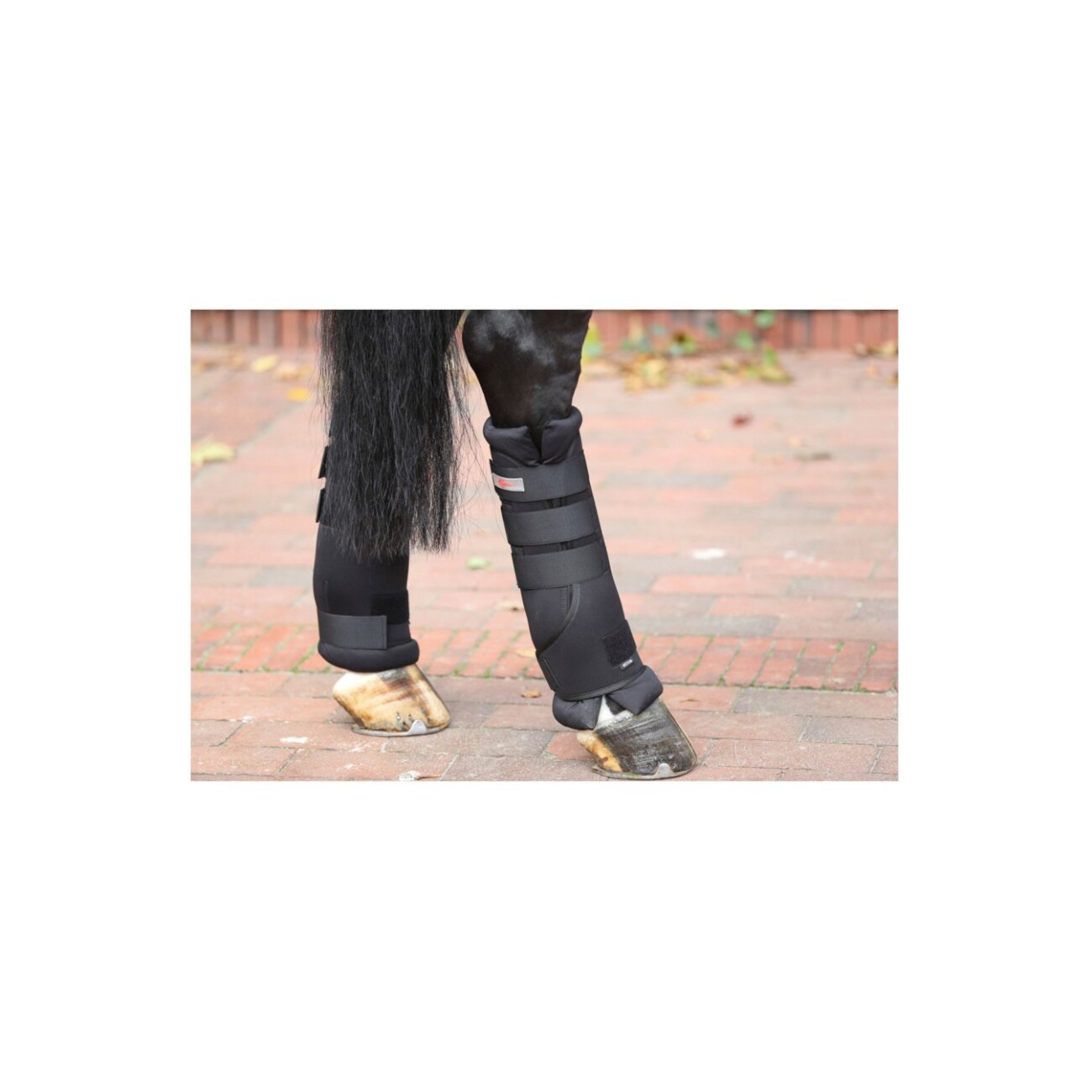 Kerbl Covalliero Transport- & Stallgamaschen 4er Set WB (Warmblut)