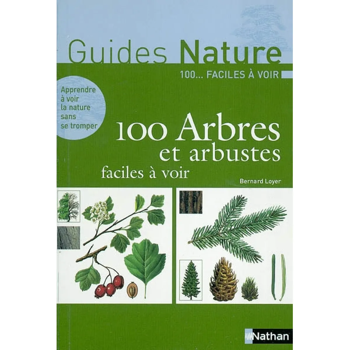 100 arbres et arbustes faciles à voir · Occasion