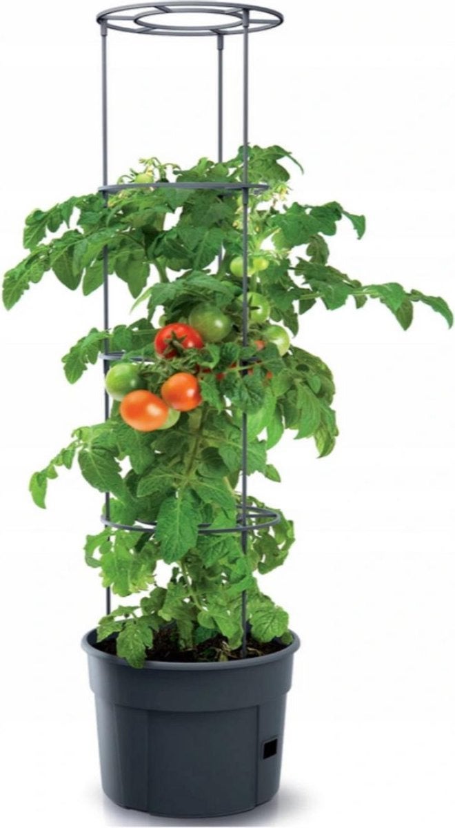 Intratuin groeitoren tomaten antraciet 39 x 31,5 x 153 cm