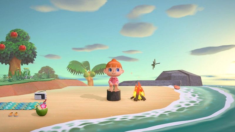 Animal Crossing: New Horizons - Nintendo Switch - Engelstalige hoes