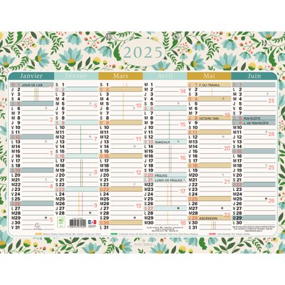 Calendrier Mini Labo - 6 mois par face - 43 x 33,5 cm - Exacompta