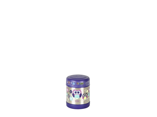 Thermos Funtainer Madtermoflaske 290 ml Lilla/stål