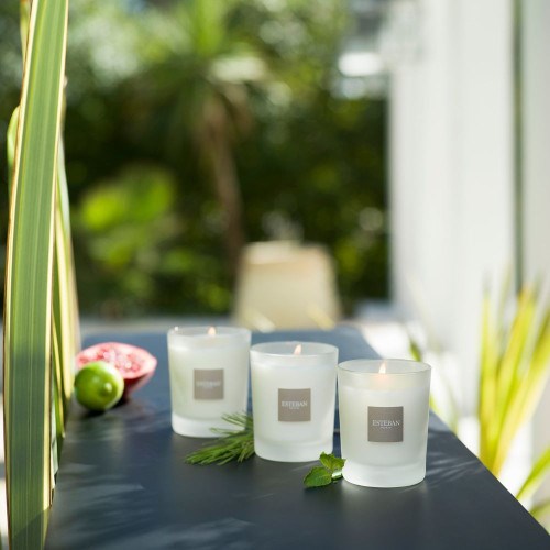 Recharge bouquet 250ml blanc coton