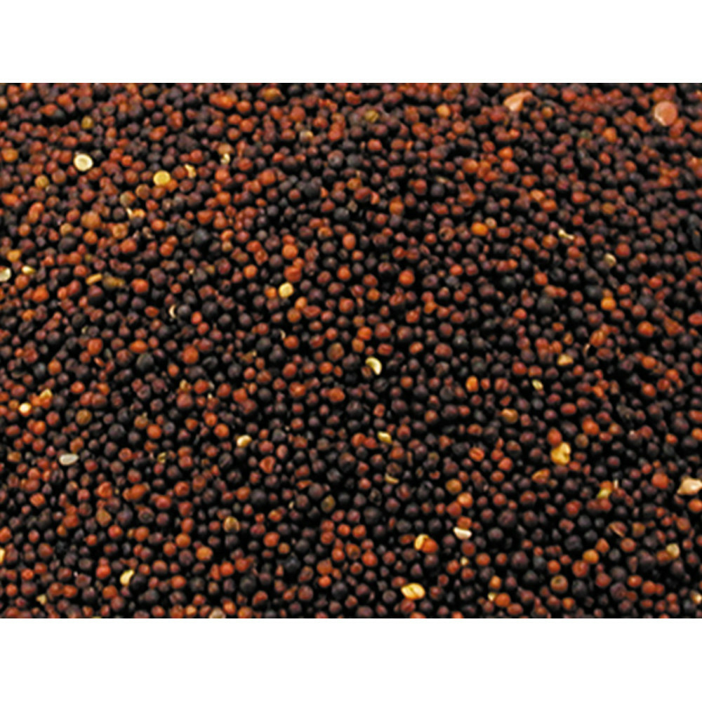 Graines navette 1kg pour oiseaux