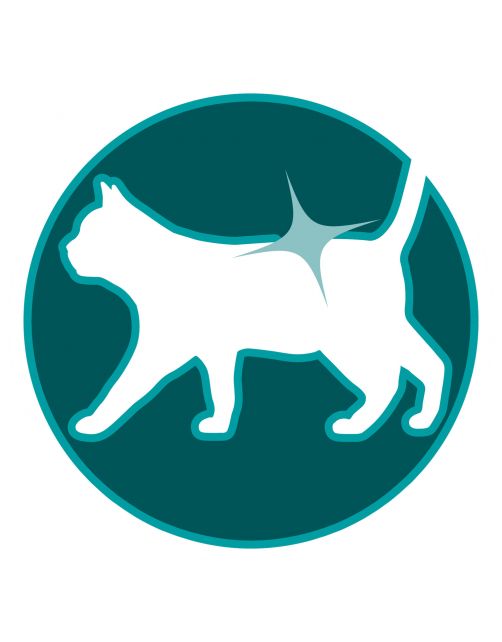 Purina One Adult - Kattenvoer - Rund Granen 1.5 kg