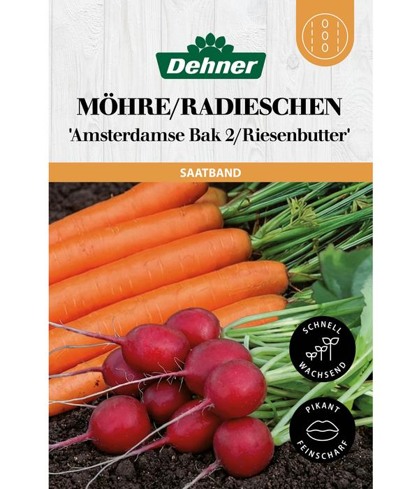 Dehner Saatband Möhre/Radieschen 'Amsterdamse