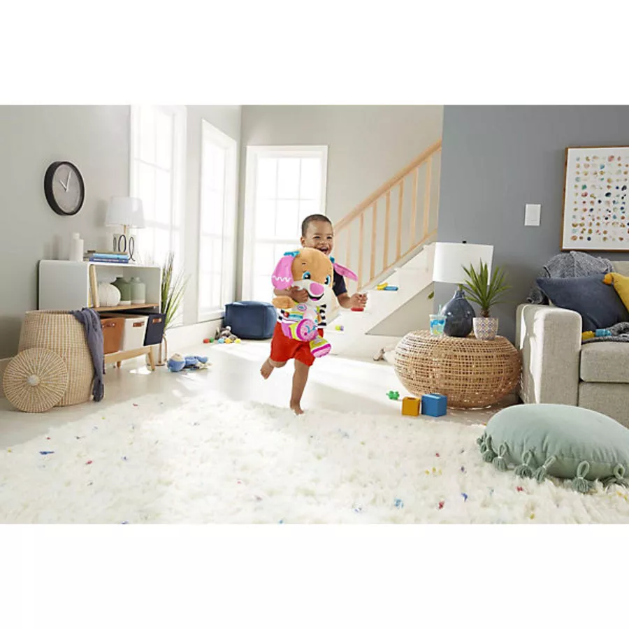 Fisher Price Schlaue Hundefreundin