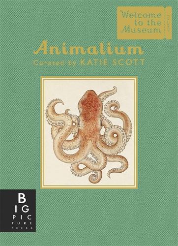 Animalium (Mini Gift Edition) - Welcome To The Museum (Hardback)