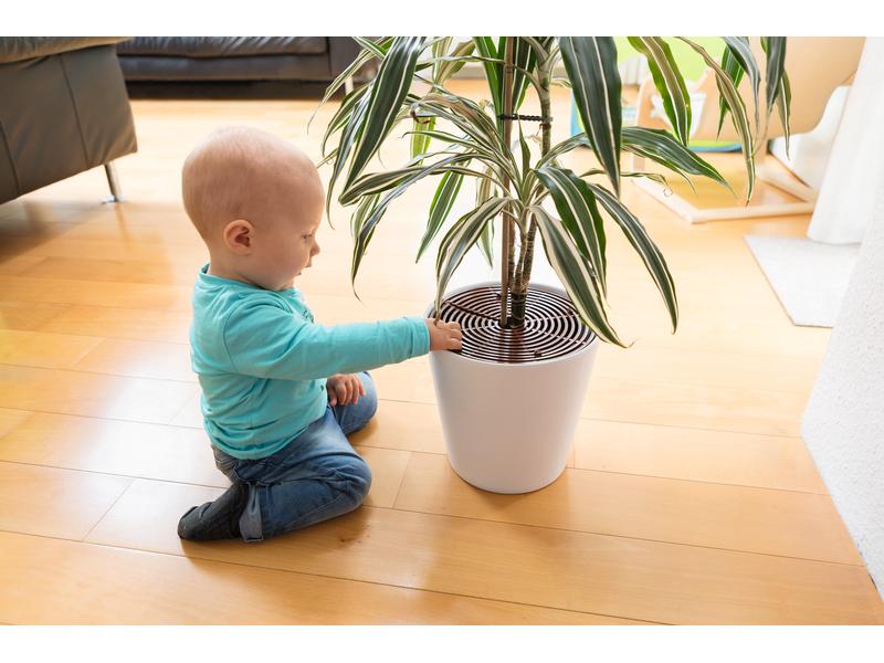 Abus Pflanzentopfgitter Noah 2er Set Blumentopfgitter 2er Set Noah bis zu 30 cm, zuschneidbar