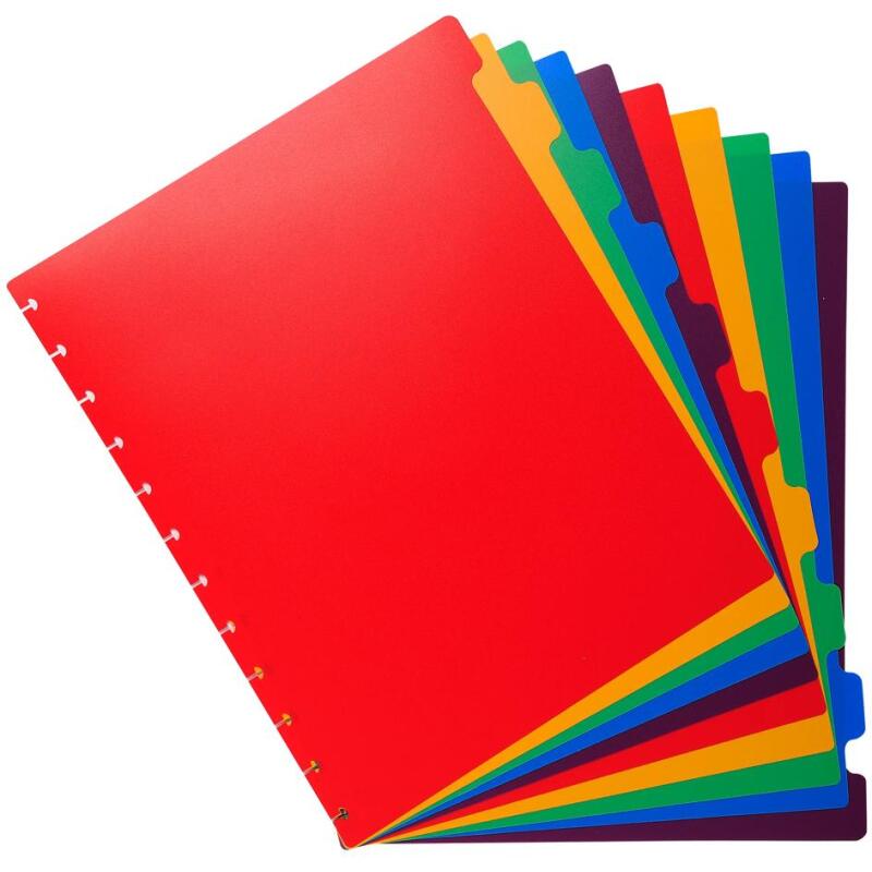 Intercalaires polypropylènes couleurs 10 positions pour porte-vues à anneaux - Couleurs assorties