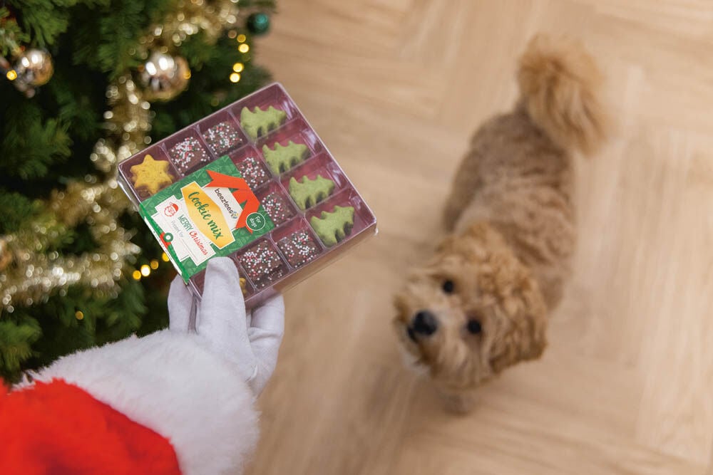 Beeztees mix - Kerstkoekjes - doos - 32 Stuks