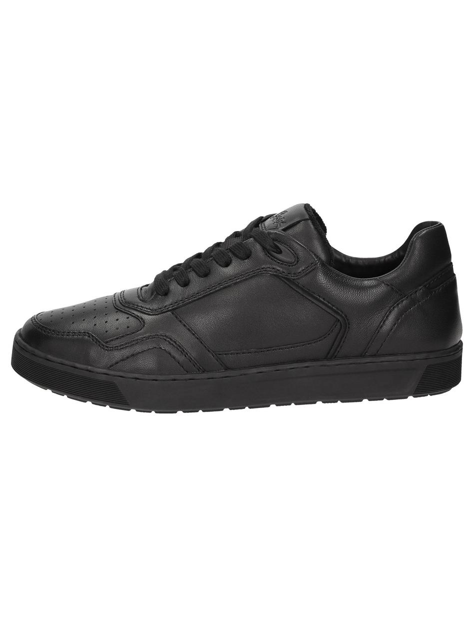Sneaker Tedroso-704