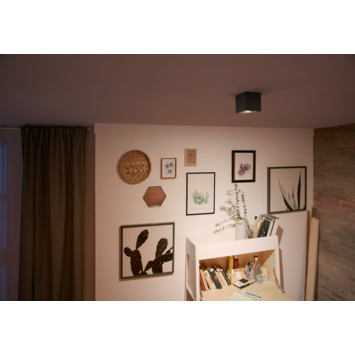 Philips opbouwspot MyLiving Box LED Zwart 4.5W