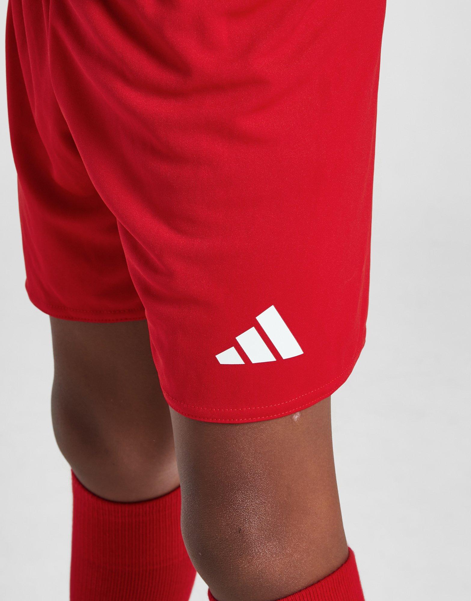 adidas Kit Domicile Pays de Galles *