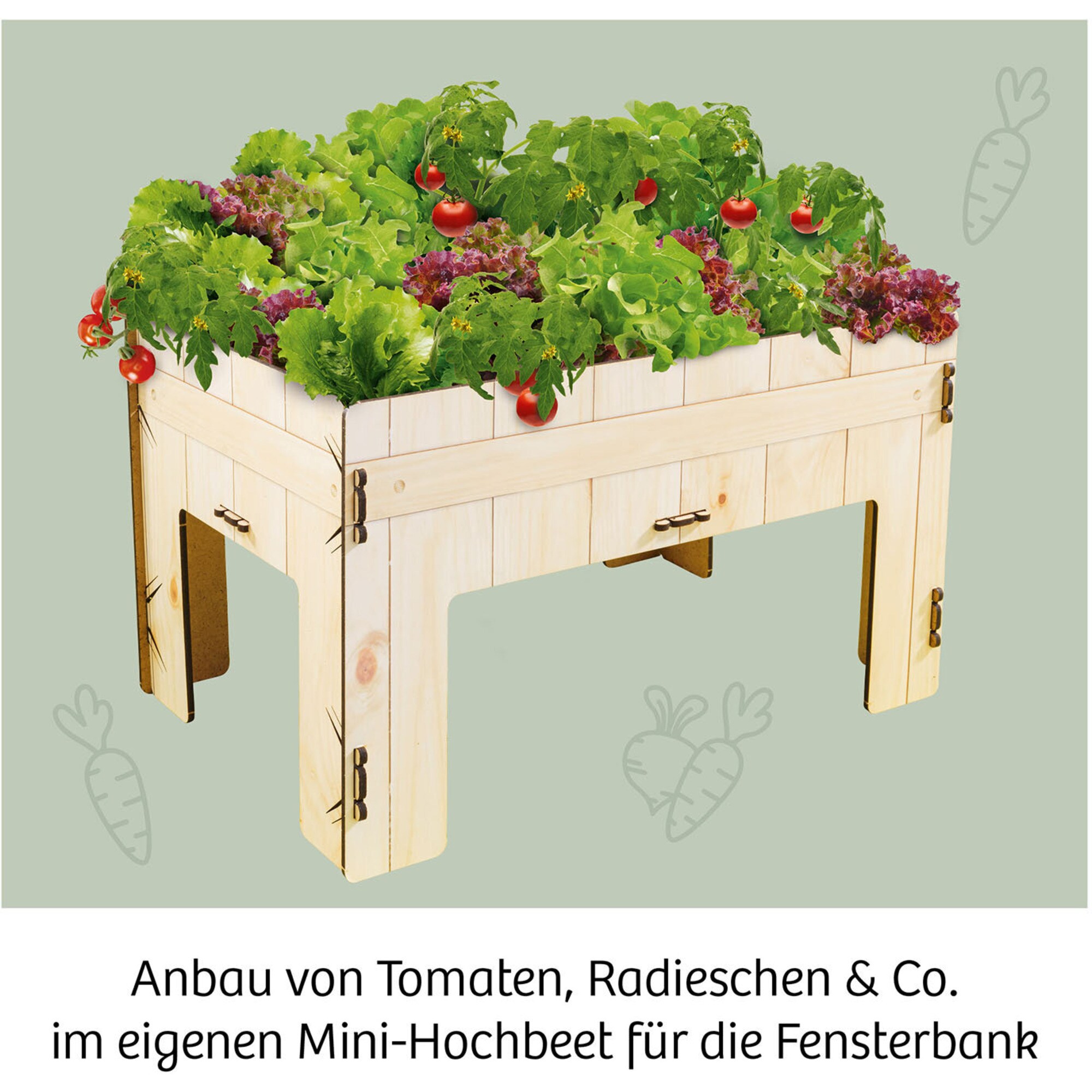 Kosmos Experimentierkasten Meine erste Farm