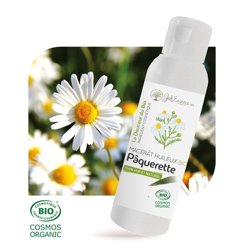 Macérât huileux de pâquerette (bellis