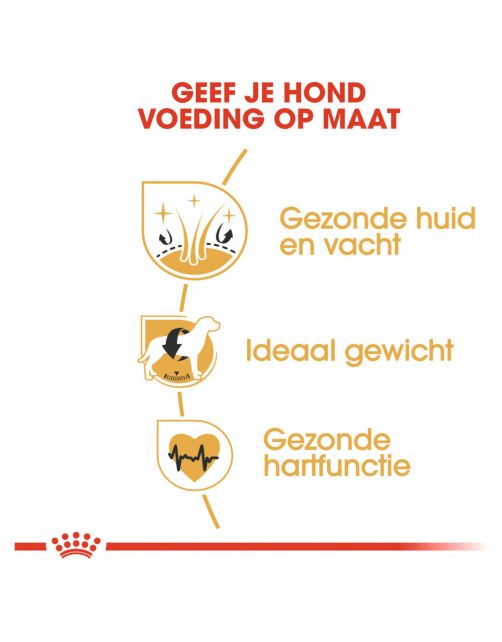 Royal Canin Cocker Adult - Hondenvoer