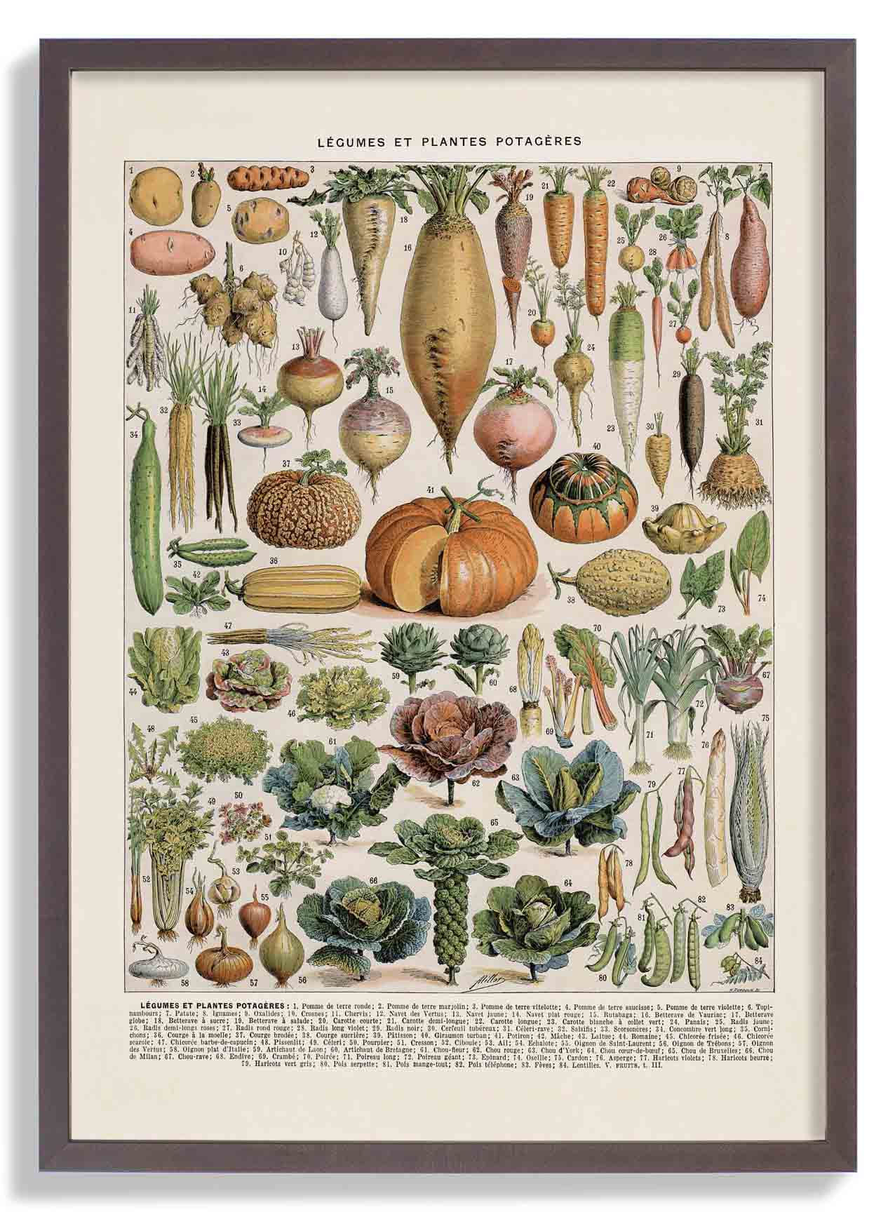 LÉGUMES etES POTAGÈRES