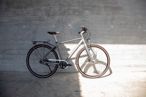 LAZY DAY GATES ALFINE 8 Men City- und Alltagsvelo  metall matt  48 CM