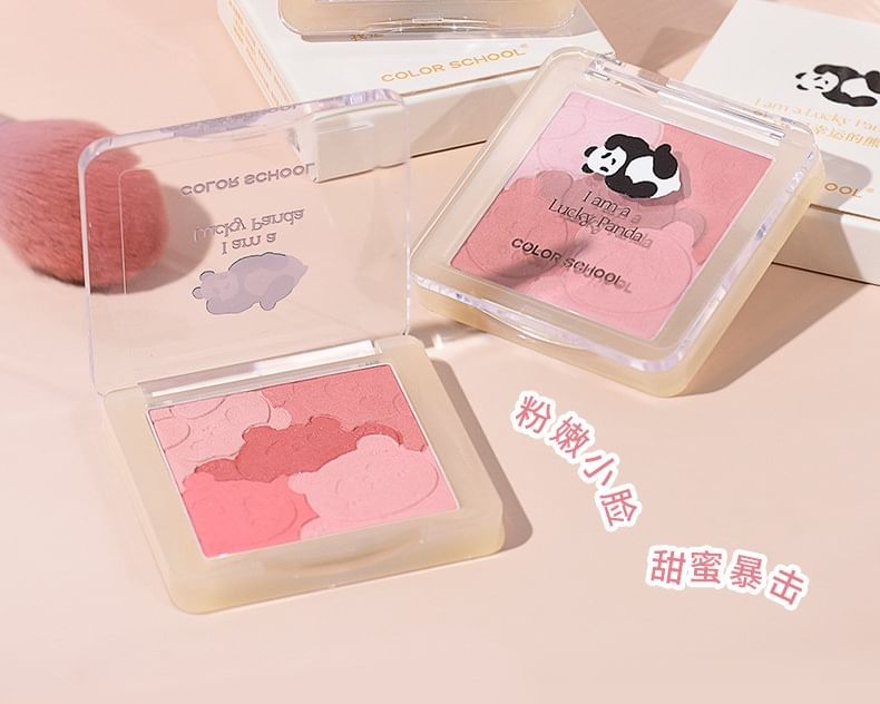 COLOR SCHOOL - Gradient Blusher - 2 kleuren