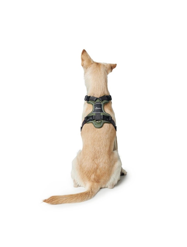 Hunter - Harness Divo L-XL, green/grey - (67594)