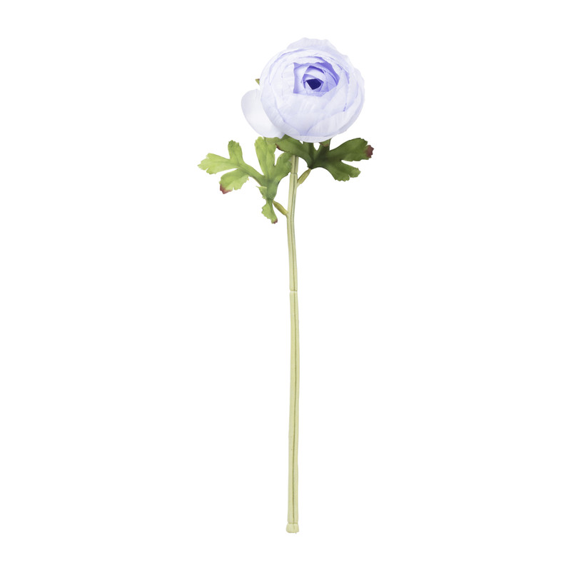 Ranonkel - diverse kleuren - 33 cm
