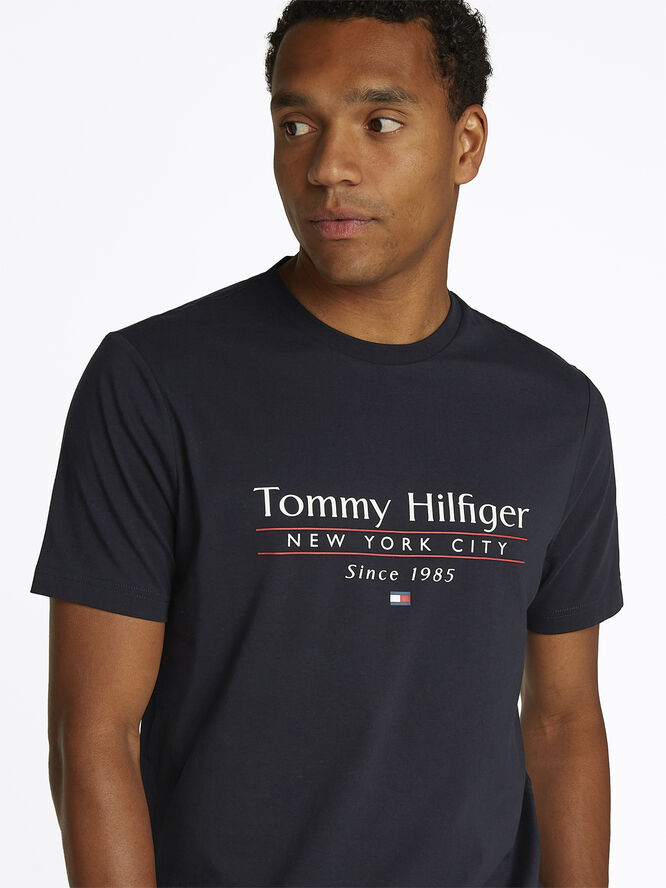 Tommy Hilfiger HILFIGER CENTER STACK TEE Desert sky