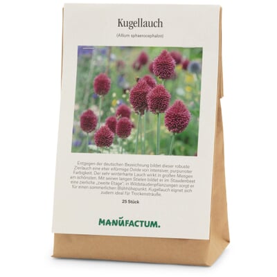 Blumenzwiebeln Kugellauch