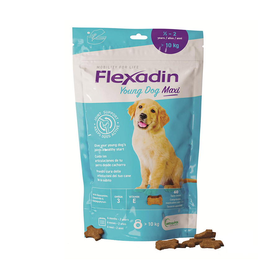 Vetoquinol Flexadin Young Maxi Chondroprotector para filhotes