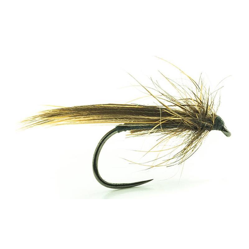 Mouche Devaux Sedge Tricoptheres Jbp11