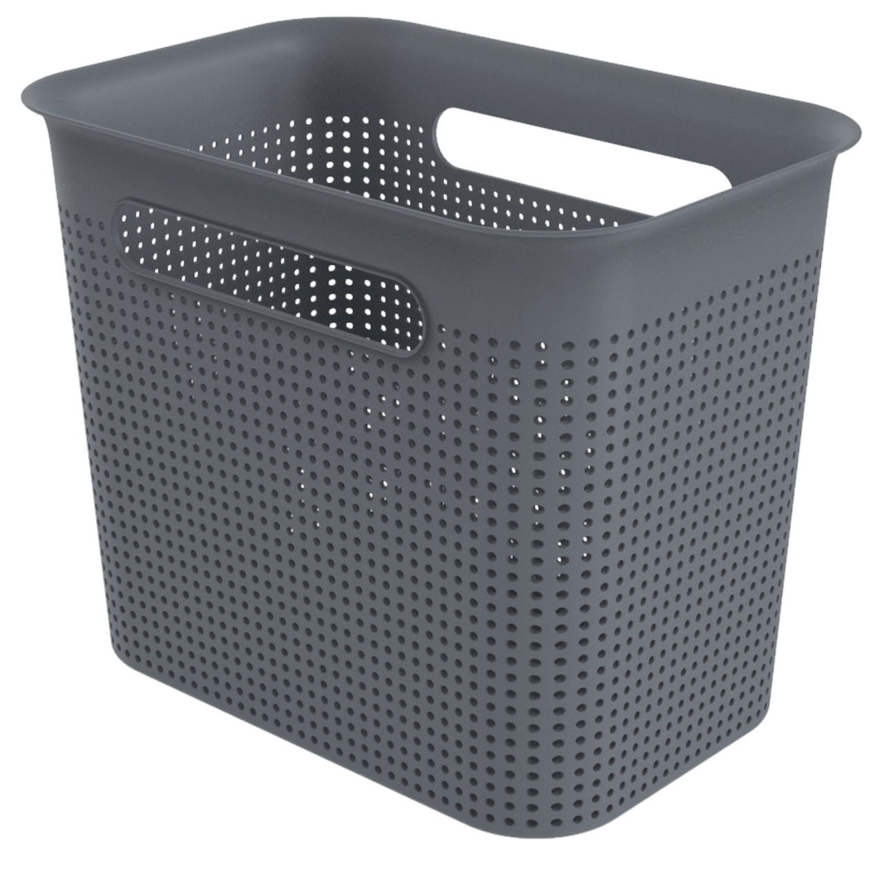 rotho Box BRISEN
