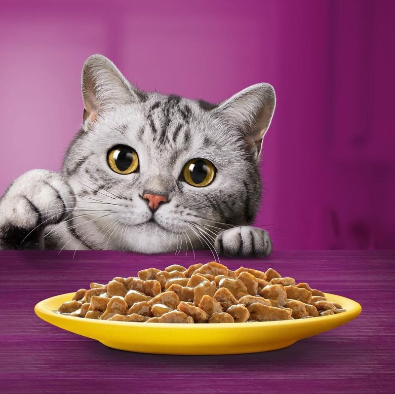 Whiskas - 1+ Adult Maaltijdzakjes - Klassieke Selectie in Saus - 48 x 85 g - Rund Lam Gevogelte Kip