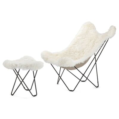 Hocker Mariposa Islandschaf