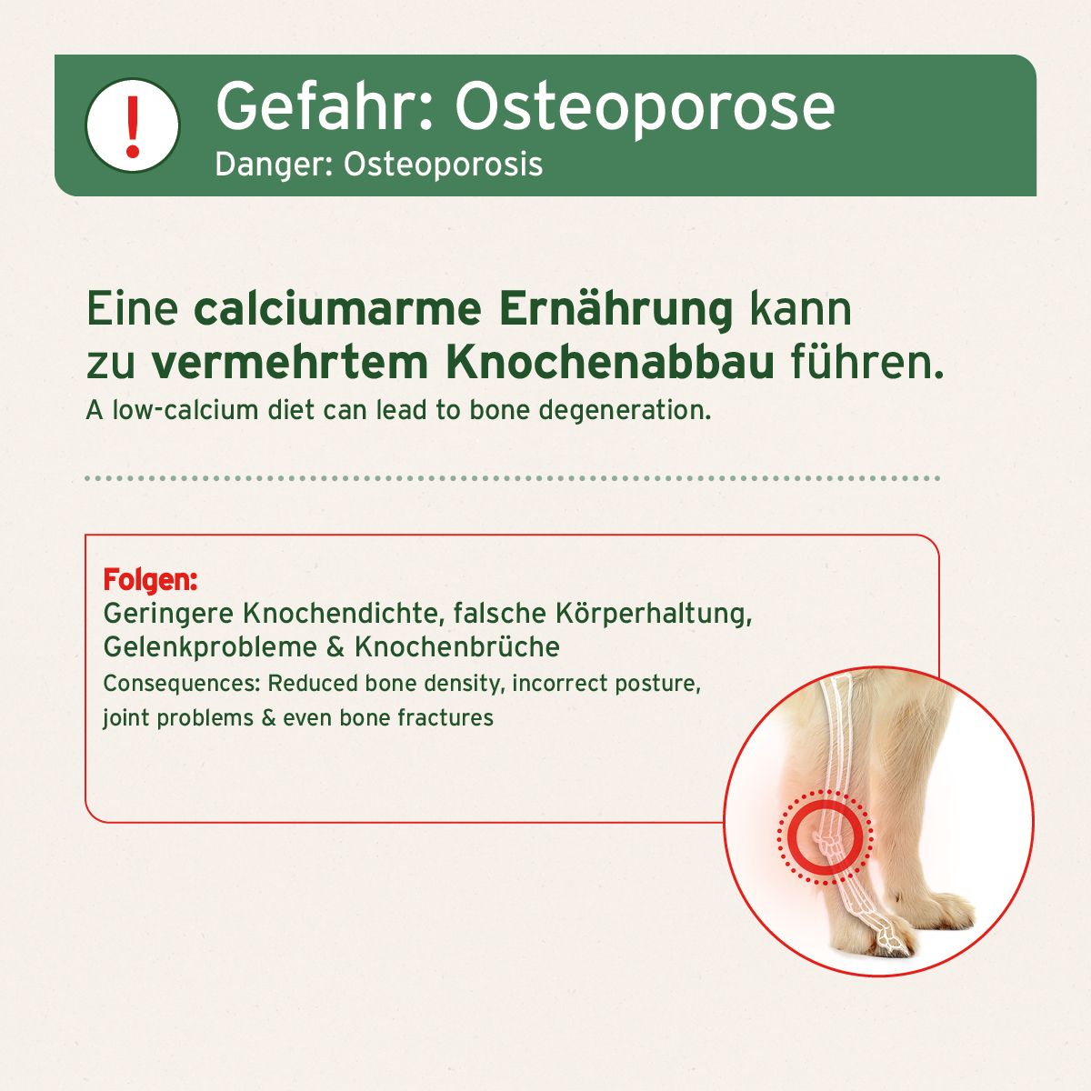 AniForte BARF-Line Gemahlene Knochen vom Rind