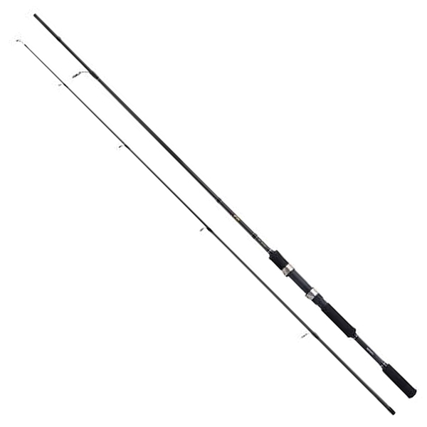 Canne Spinning Shimano FX XT